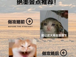 51 无人区码一码二码——探索未知世界的必备工具