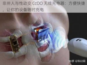 非卅人与性动交 CcOO 无线充电器：方便快捷，让你的设备随时充电