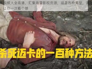 老镖客视频大全高清，汇集海量影视资源，涵盖各种类型，满足不同需求，让你一次看个够