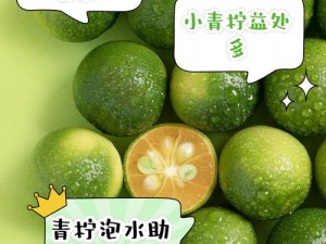 青柠在线观看视频网使用方法、如何使用青柠在线观看视频网？