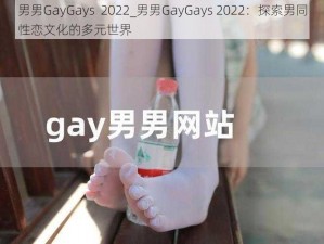 男男GayGays  2022_男男GayGays 2022：探索男同性恋文化的多元世界