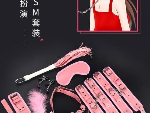 调教亲女乱 h 文：打造极致私密体验的必备产品