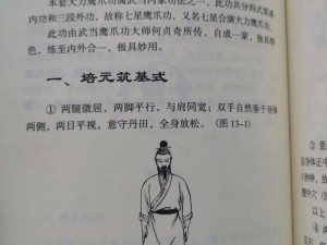 模拟江湖武功精进宝典：武功快速提升方法与实战技巧解析