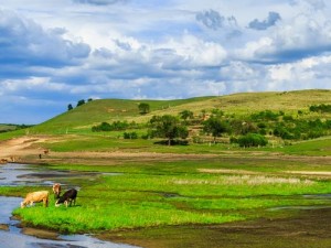 大地资源网首页免费，提供全面的矿产、土地、林业等资源信息