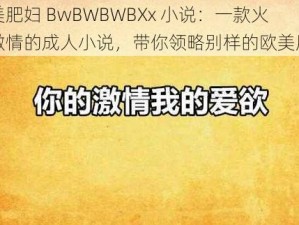 欧美肥妇 BwBWBWBXx 小说：一款火辣激情的成人小说，带你领略别样的欧美风情