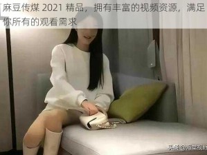 麻豆传煤 2021 精品，拥有丰富的视频资源，满足你所有的观看需求