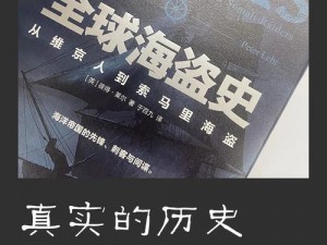 探索海盗世界：海盗突袭的魅力与冒险简介