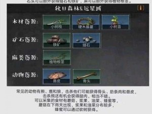 明日之后金矿开采攻略：全面解析金矿获取方法总汇