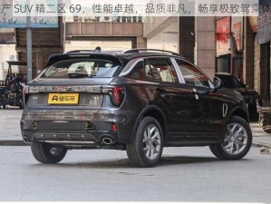 国产 SUV 精二区 69，性能卓越，品质非凡，畅享极致驾乘体验