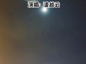 抖音热门歌曲解析：我习惯你走在我的身后背后动人的情感旋律，为你讲述一份静谧陪伴的力量