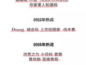 最好看的 2018 中文中字：年度热词盘点