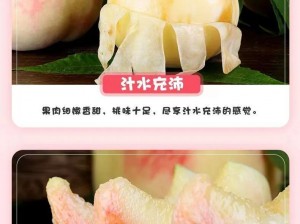 热门视频轻松下载，尽享蜜桃视频精彩内容