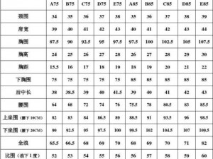 透彻理解欧洲码，轻松选购欧洲尺码 M 高清产品