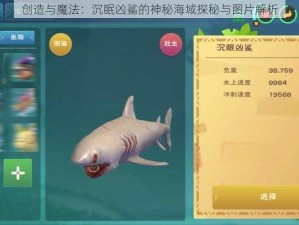 创造与魔法：沉眠凶鲨的神秘海域探秘与图片解析