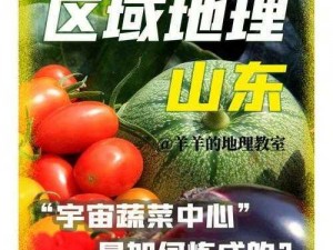 宇宙蔬菜安装指南：配置方法与步骤详解