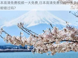 日本高清免费视频一大免费,日本高清免费视频一大免费，你能错过吗？