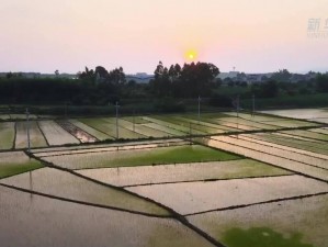 大地资源在线视频观看免费高清【如何在线观看免费高清的大地资源视频？】