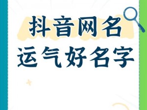 抖音热门拍手歌曲名称揭秘：探索时尚节拍潮流之选