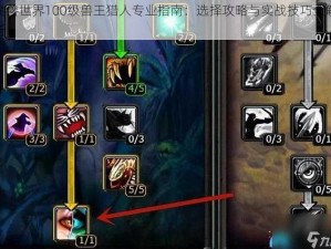 魔兽世界100级兽王猎人专业指南：选择攻略与实战技巧全解析