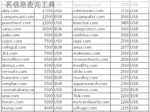 BY29777 域名查询——快速、准确、全面的域名信息查询工具