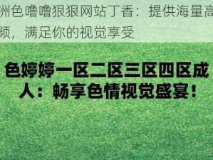 亚洲色噜噜狠狠网站丁香：提供海量高清视频，满足你的视觉享受