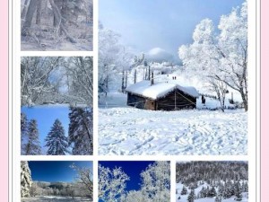 长生诀手游雪谷夺旗攻略详解：雪谷副本通关奖励全解析及玩法指南