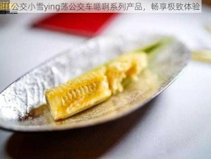 公交小雪ying荡公交车嗯啊系列产品，畅享极致体验