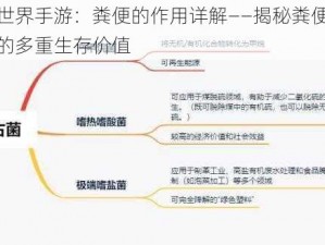 生存世界手游：粪便的作用详解——揭秘粪便在游戏中的多重生存价值