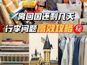 跨越星弧挑战险境：高效运输品的策略攻略及实践指南