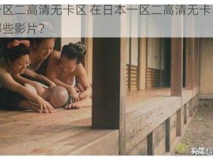 日本一区二高清无卡区 在日本一区二高清无卡区可以观看哪些影片？