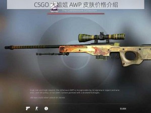 CSGO 大姐姐 AWP 皮肤价格介绍