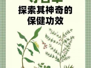 灵草揭秘：探寻神奇生命之奥秘，引领健康与科技融合新时代