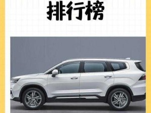 国产精品 suv 一区二区，空间宽敞舒适，配置丰富实用，驾驶体验出色