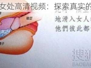 真人破女处高清视频：探索真实的性教育