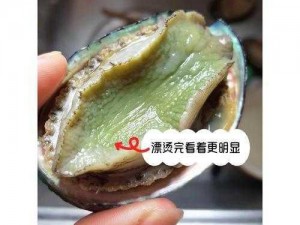 吃鲍鱼能不能喝牛奶、吃鲍鱼后能喝牛奶吗？