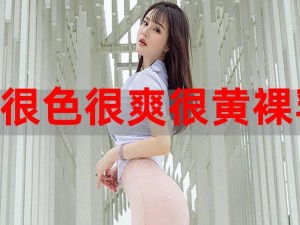 少妇性色午夜婬片 AAA 片软件，一款让你欲罢不能的视频播放软件