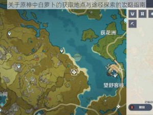 关于原神中白萝卜的获取地点与途径探索的攻略指南