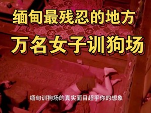 缅甸 KK 区女人糟蹋原视频：揭秘一款神秘的产品