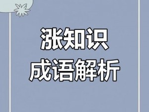 成语大官人第425关揭秘：独家解析背后的智慧与策略，深度解读关卡奥秘