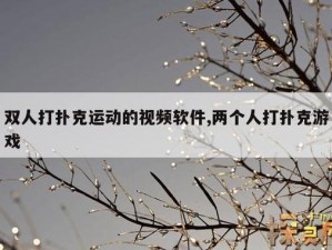 开发扑克又疼又叫的视频 APP，让你体验前所未有的刺激感受