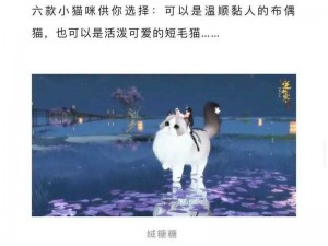 逆水寒手游猫咪快送攻略：详解猫咪快送奇遇任务流程与技巧