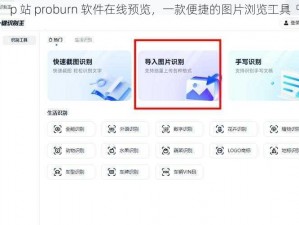 p 站 proburn 软件在线预览，一款便捷的图片浏览工具