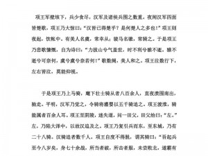 一刀流与暴击流项羽：王者之风的战斗解析与战术思考