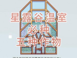 星露谷物语温室最佳建造地点全解析：从选址到设计，打造理想温室种植区攻略