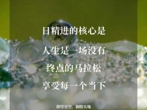 日日精进久久为功：在坚持中超越自我