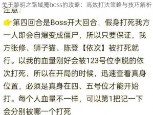 关于黎明之路域魇boss的攻略：高效打法策略与技巧解析