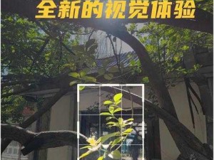 17c999 一区二区三区，带给你全新的视觉体验