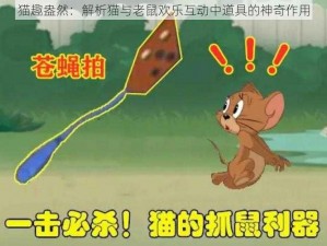 猫趣盎然：解析猫与老鼠欢乐互动中道具的神奇作用