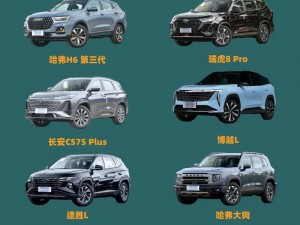 weyvv5 国产的 suv 不再限制观看，畅享无拘无束的驾驶乐趣