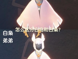 光遇白鸟号价值解析：现实行情下究竟价值几何？